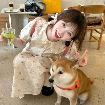 钢铁少女团
