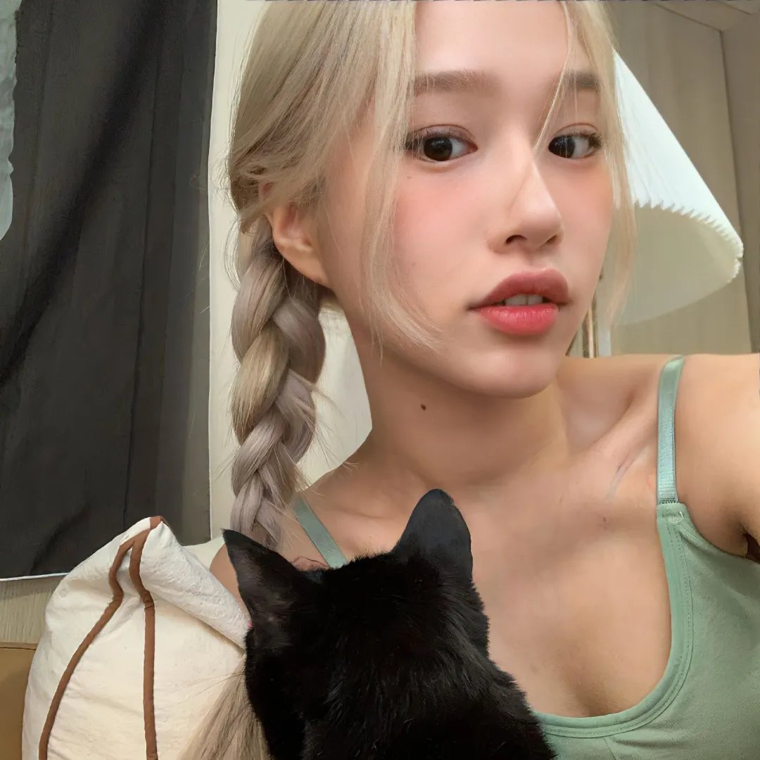 101朵玫瑰
